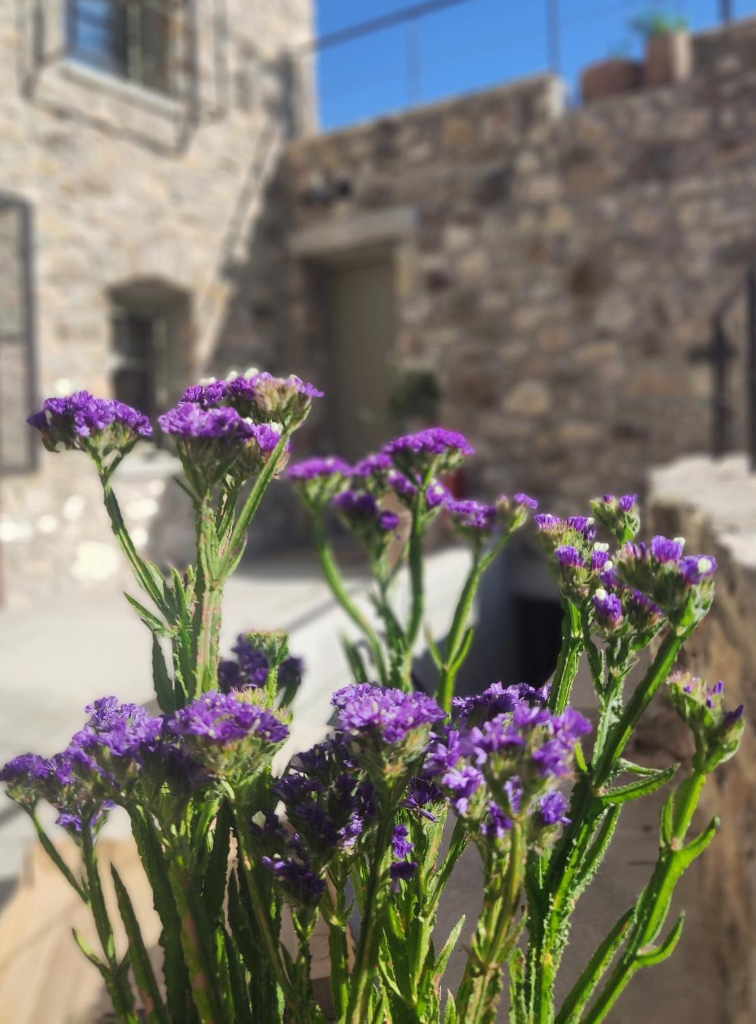 Pyrgi Cretan Living & Spa Pirgos  Exteriér fotografie